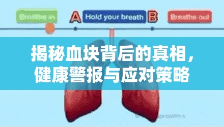 揭秘血塊背后的真相，健康警報與應(yīng)對策略