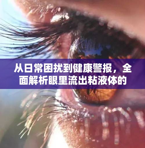從日常困擾到健康警報(bào)，全面解析眼里流出粘液體的真相