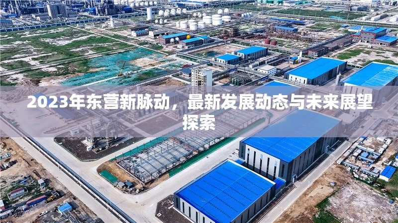 2023年東營新脈動，最新發(fā)展動態(tài)與未來展望探索