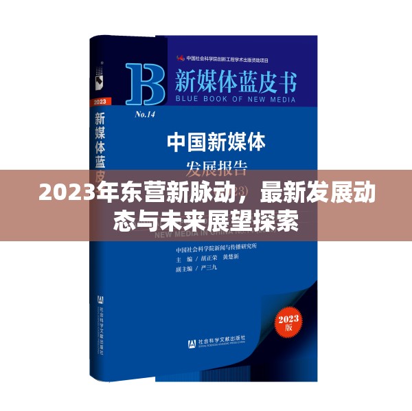 2023年東營新脈動，最新發(fā)展動態(tài)與未來展望探索