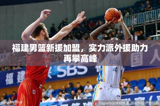 福建男籃新援加盟，實(shí)力派外援助力再攀高峰