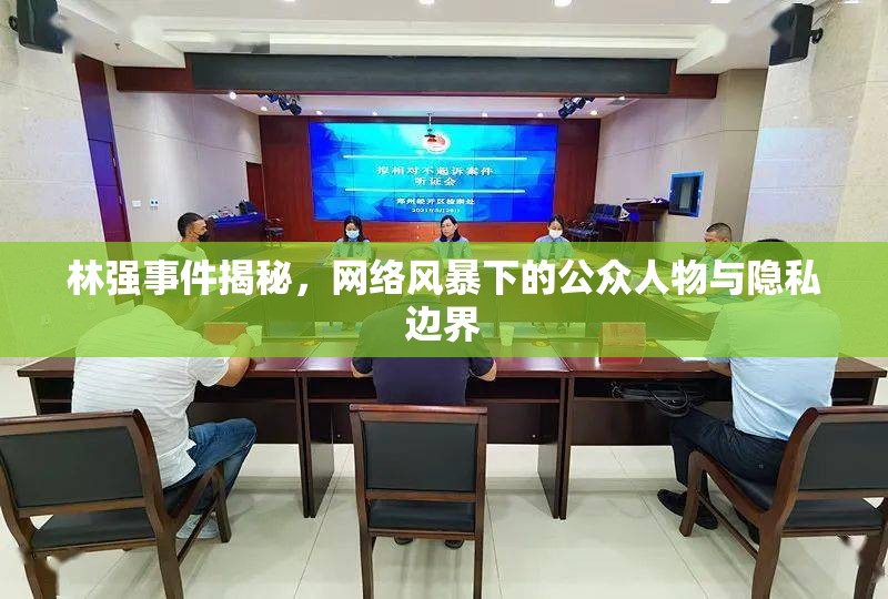 林強(qiáng)事件揭秘，網(wǎng)絡(luò)風(fēng)暴下的公眾人物與隱私邊界