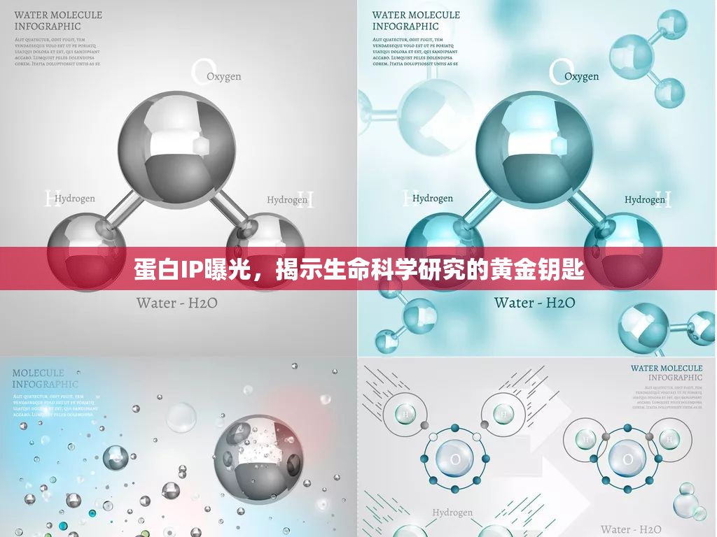 蛋白IP曝光，揭示生命科學(xué)研究的黃金鑰匙