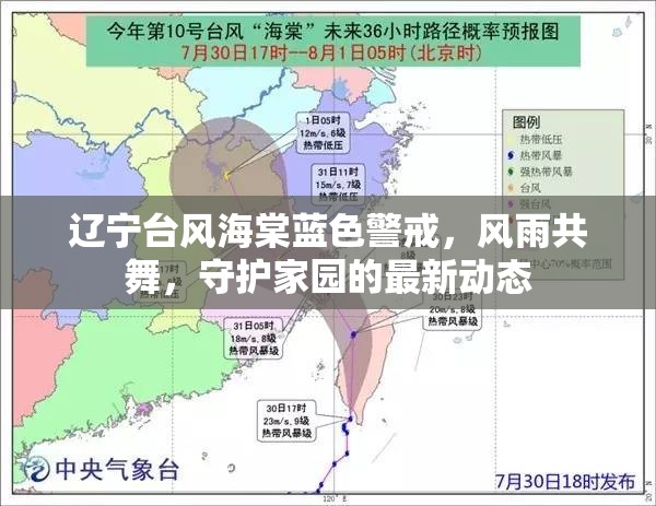 遼寧臺(tái)風(fēng)海棠藍(lán)色警戒，風(fēng)雨共舞，守護(hù)家園的最新動(dòng)態(tài)