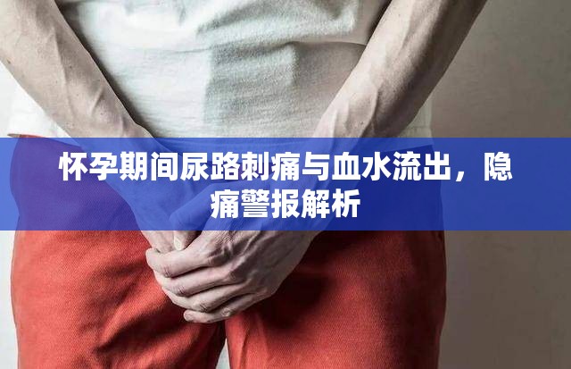 懷孕期間尿路刺痛與血水流出，隱痛警報(bào)解析