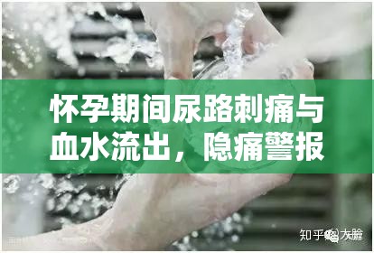 懷孕期間尿路刺痛與血水流出，隱痛警報(bào)解析