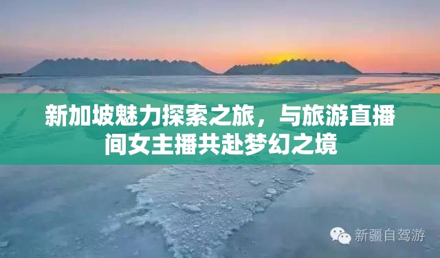 新加坡魅力探索之旅，與旅游直播間女主播共赴夢(mèng)幻之境