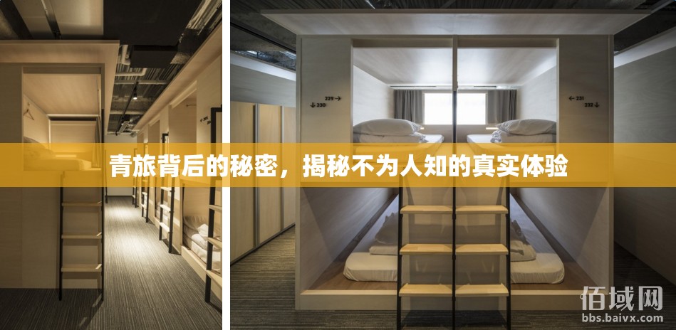 青旅背后的秘密，揭秘不為人知的真實體驗