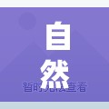 自然與文化的交響，哈尼鹿的魅力展現(xiàn)