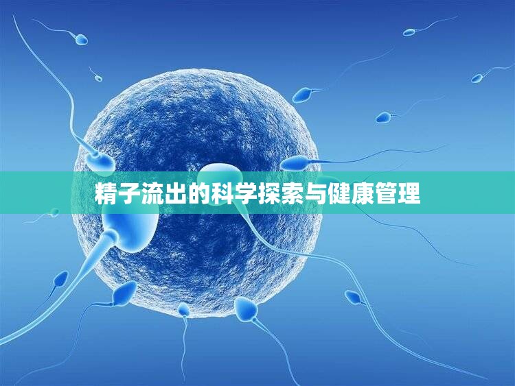 精子流出的科學探索與健康管理