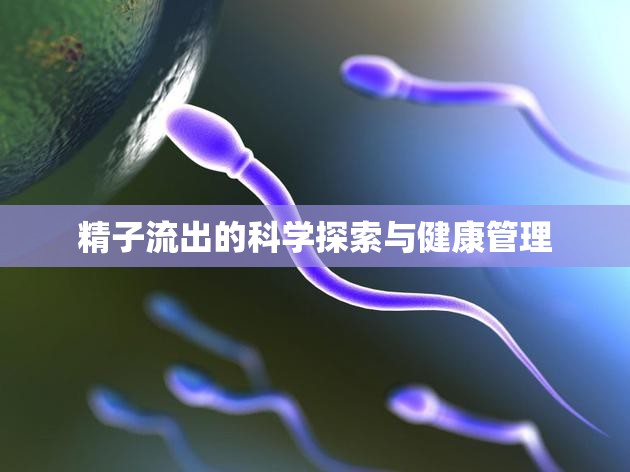 精子流出的科學探索與健康管理