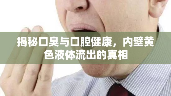 揭秘口臭與口腔健康，內壁黃色液體流出的真相