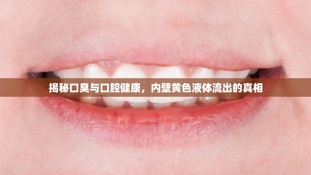 揭秘口臭與口腔健康，內壁黃色液體流出的真相