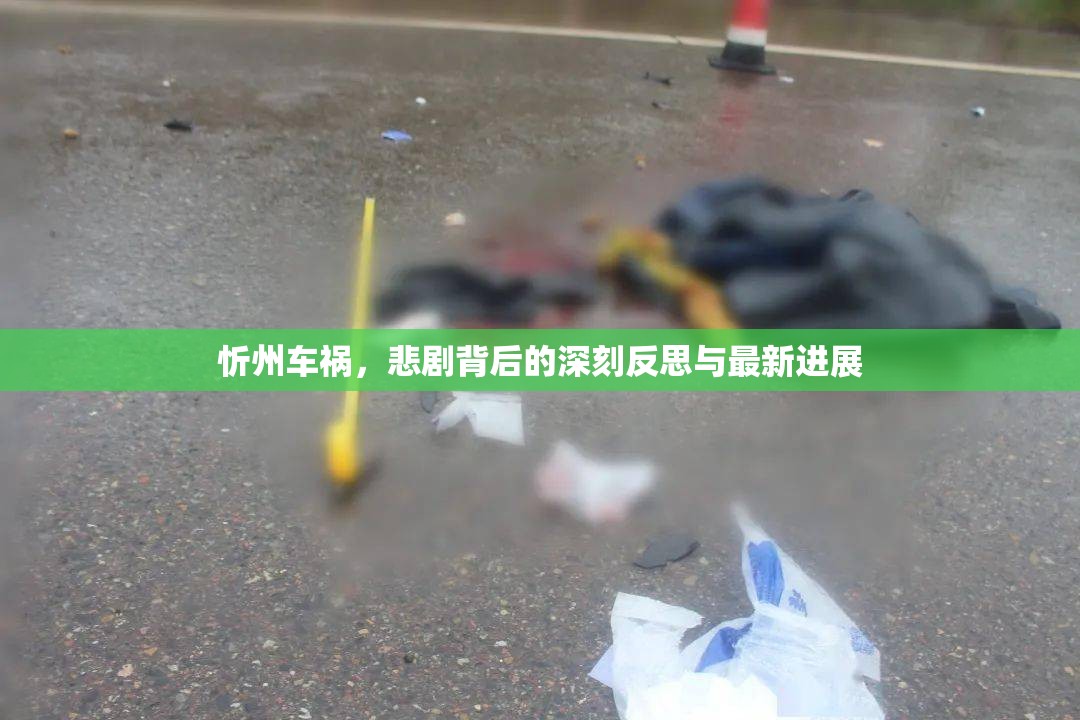 忻州車禍，悲劇背后的深刻反思與最新進展