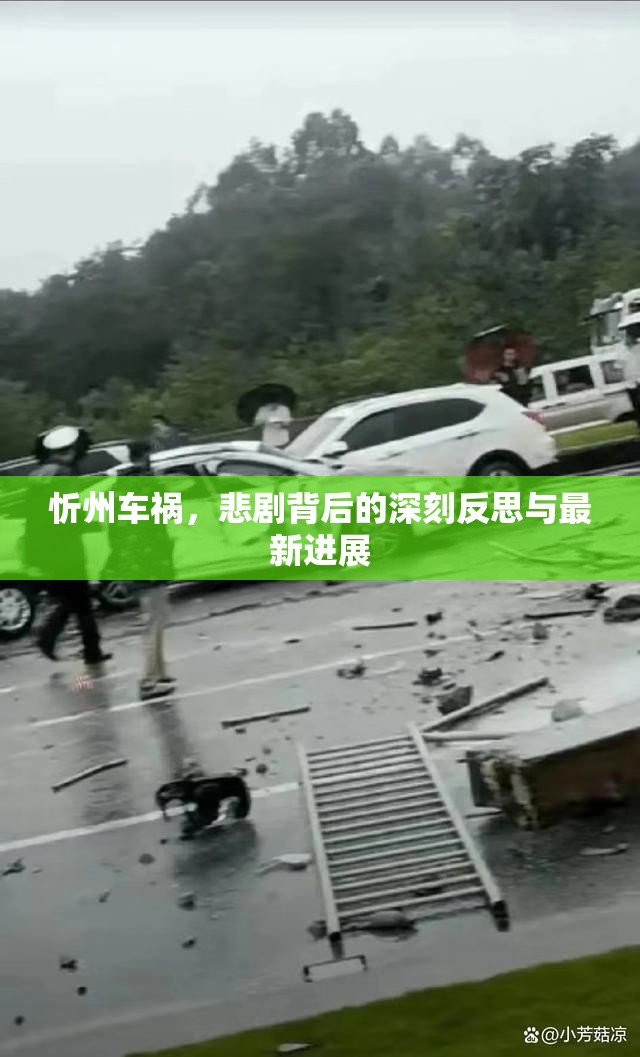 忻州車禍，悲劇背后的深刻反思與最新進展