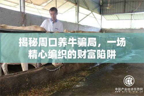 揭秘周口養(yǎng)牛騙局，一場精心編織的財富陷阱