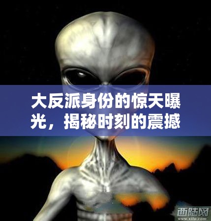 大反派身份的驚天曝光，揭秘時(shí)刻的震撼真相