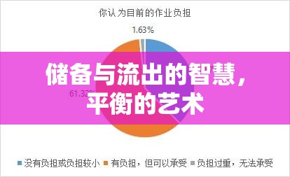 儲(chǔ)備與流出的智慧，平衡的藝術(shù)