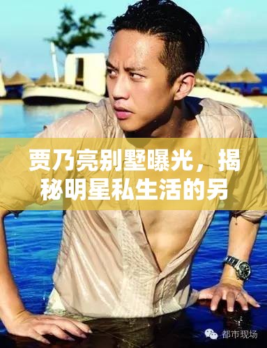 賈乃亮別墅曝光，揭秘明星私生活的另一面