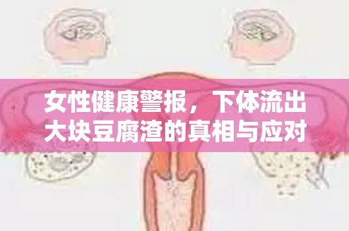 女性健康警報，下體流出大塊豆腐渣的真相與應(yīng)對策略