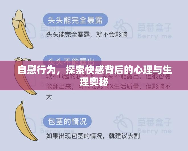 自慰行為，探索快感背后的心理與生理奧秘