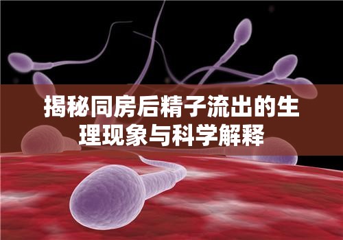 揭秘同房后精子流出的生理現(xiàn)象與科學解釋
