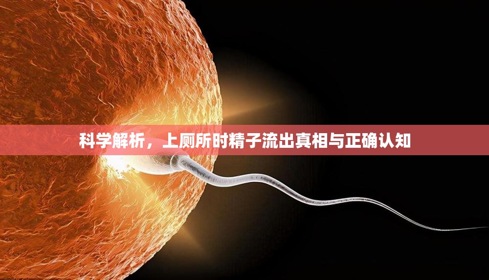 科學(xué)解析，上廁所時精子流出真相與正確認(rèn)知