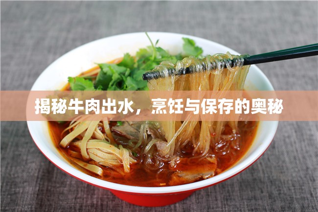 揭秘牛肉出水，烹飪與保存的奧秘