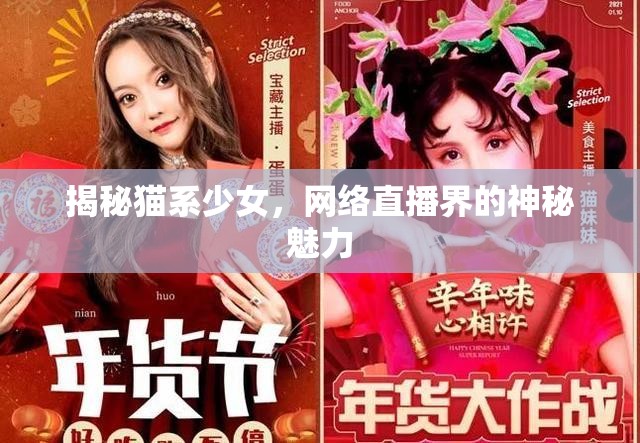 揭秘貓系少女，網(wǎng)絡(luò)直播界的神秘魅力