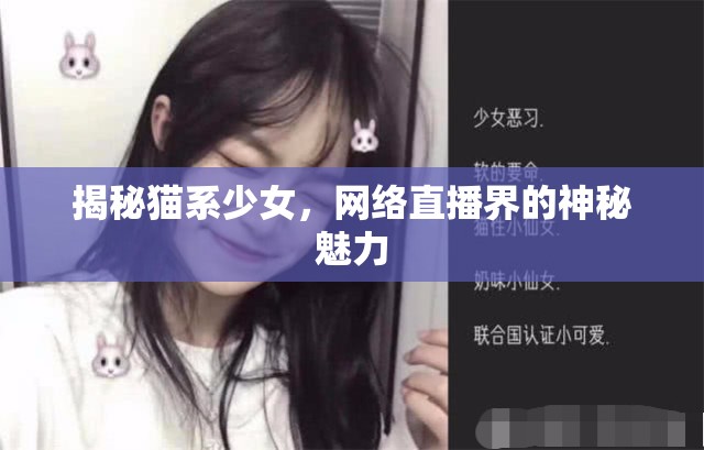 揭秘貓系少女，網(wǎng)絡(luò)直播界的神秘魅力