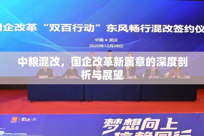 中糧混改，國企改革新篇章的深度剖析與展望
