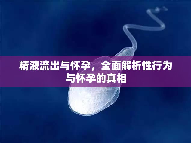 精液流出與懷孕，全面解析性行為與懷孕的真相