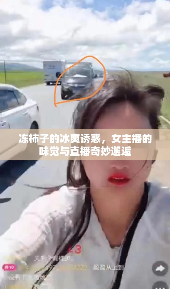 凍柿子的冰爽誘惑，女主播的味覺與直播奇妙邂逅