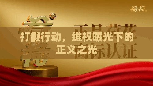 打假行動，維權(quán)曝光下的正義之光