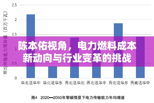 陳本佑視角，電力燃料成本新動向與行業(yè)變革的挑戰(zhàn)