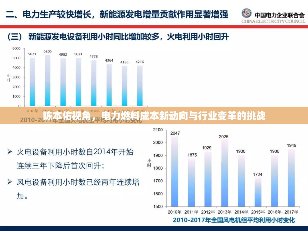 陳本佑視角，電力燃料成本新動向與行業(yè)變革的挑戰(zhàn)