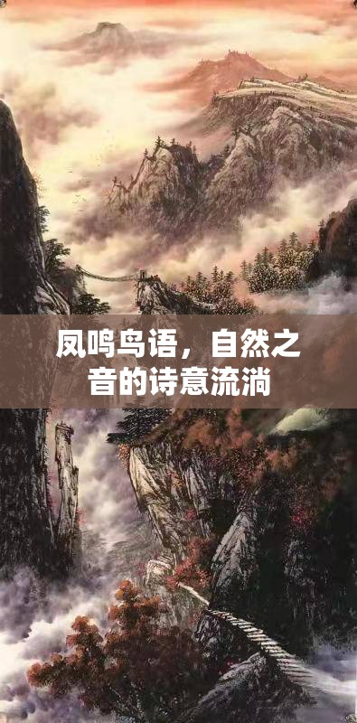 鳳鳴鳥語，自然之音的詩意流淌