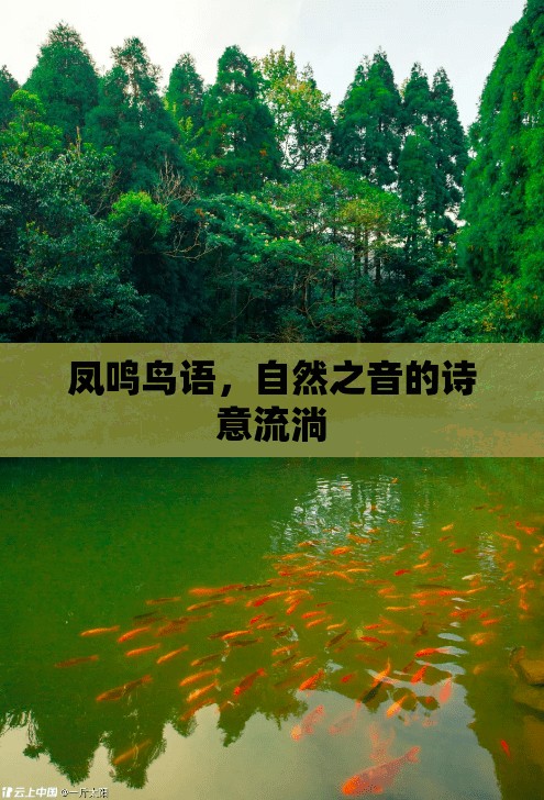 鳳鳴鳥語，自然之音的詩意流淌
