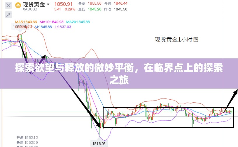 探索欲望與釋放的微妙平衡，在臨界點(diǎn)上的探索之旅