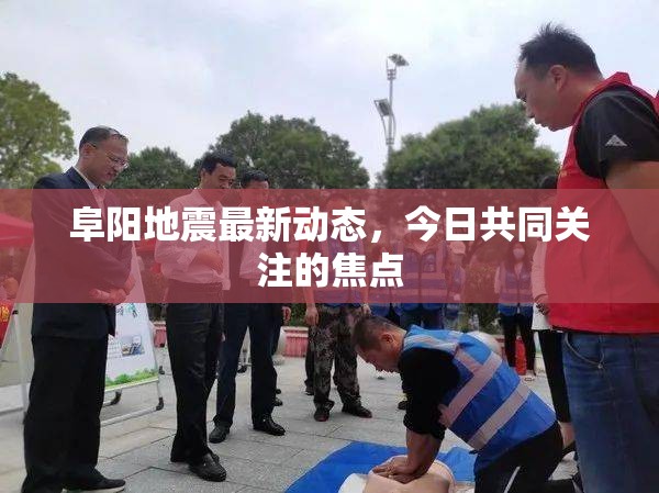 阜陽(yáng)地震最新動(dòng)態(tài)，今日共同關(guān)注的焦點(diǎn)
