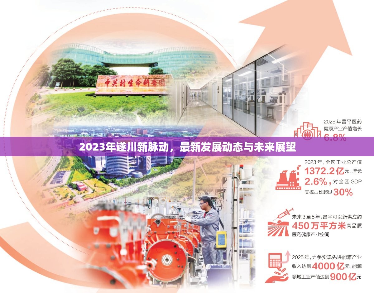 2023年遂川新脈動(dòng)，最新發(fā)展動(dòng)態(tài)與未來展望