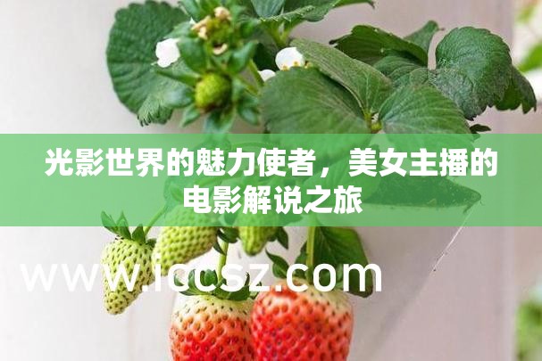 光影世界的魅力使者，美女主播的電影解說之旅