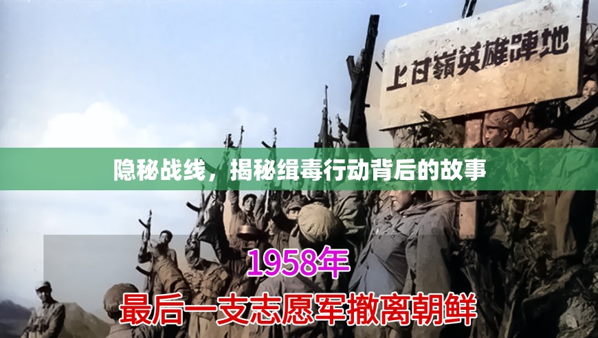 隱秘戰(zhàn)線，揭秘緝毒行動背后的故事