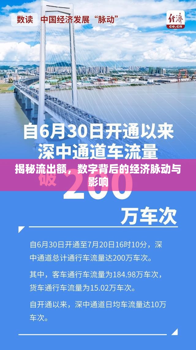 揭秘流出額，數字背后的經濟脈動與影響