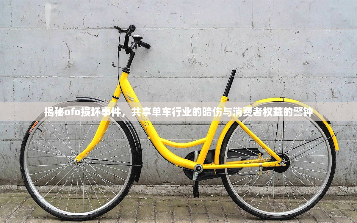 揭秘ofo損壞事件，共享單車行業(yè)的暗傷與消費者權(quán)益的警鐘