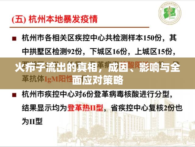 火癤子流出的真相，成因、影響與全面應對策略