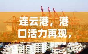 連云港，港口活力再現(xiàn)，開啟城市發(fā)展新篇章