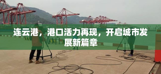 連云港，港口活力再現(xiàn)，開啟城市發(fā)展新篇章