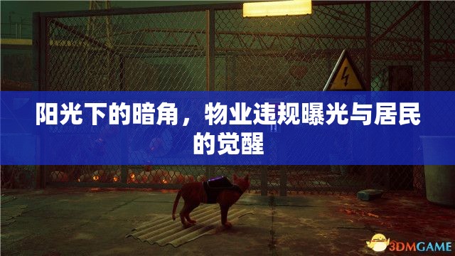 陽光下的暗角，物業(yè)違規(guī)曝光與居民的覺醒