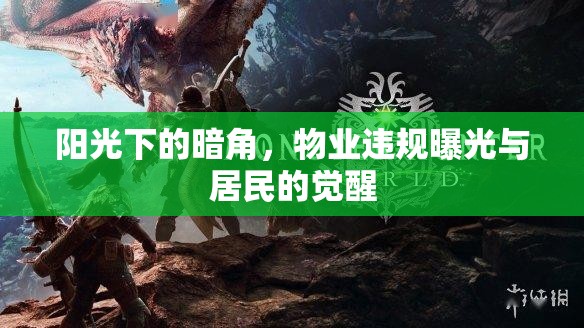 陽光下的暗角，物業(yè)違規(guī)曝光與居民的覺醒